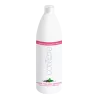 Huile de modelage - Coreme - Thé vert menthe - 1000ml